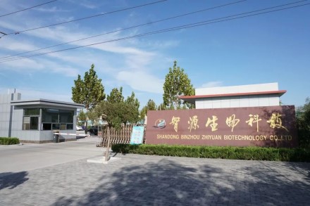 环糊精 倍他环糊精 智源生物.jpg