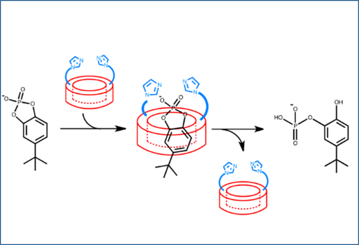 环糊精纳米结构作为人工酶的主体结构引起了关注