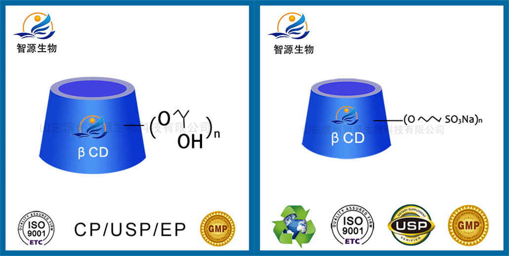 通过分子建模了解胰岛素与环糊精的络合