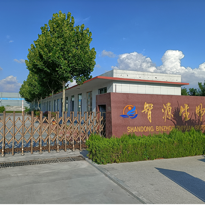 公司大门