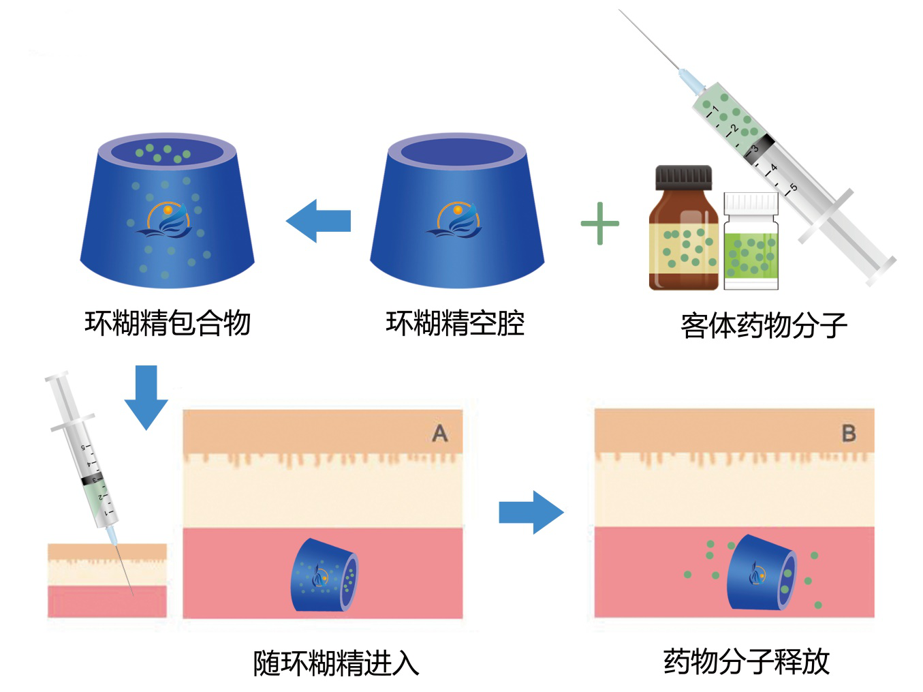 API制药家线上课程-环糊精衍生物特性及其在药物中的应用(图3) API制药家线上课程-环糊精衍生物特性及其在药物中的应用(图3)